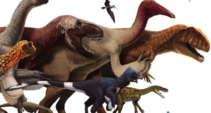 partial cover of Dinosaur Facts and Figures The Theropods and Other Dinosauriformes.jpg.optimal