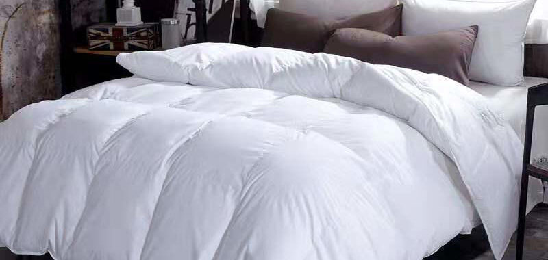 Bedding.sg: Elevating Comfort and Quality in Every Singaporean Home