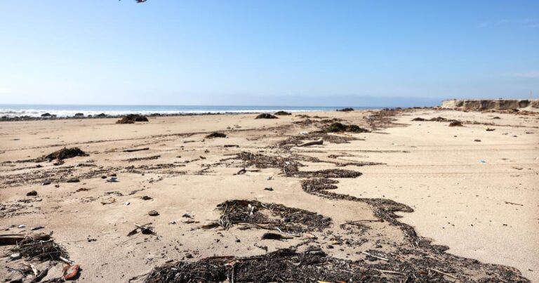 urlhttps3A2F2Fcalifornia times brightspot.s3.amazonaws.com2F532Fa12Fec8cb33e4e8db781ba287cbcec072F1495616 me fire debris washing up on beach cmh 04